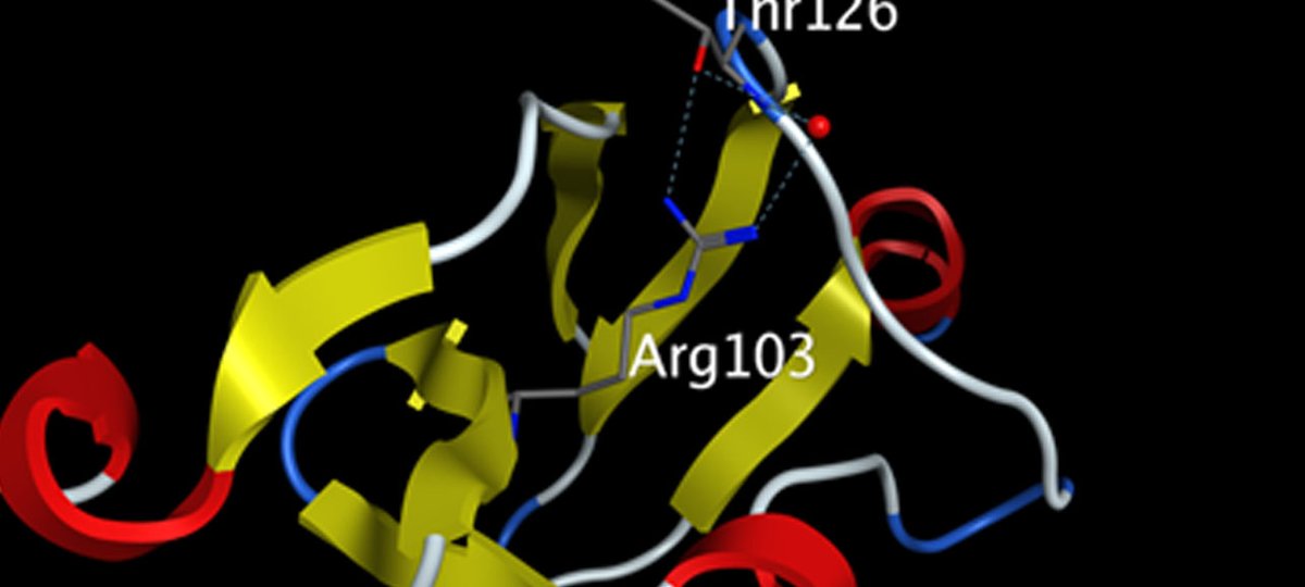 Computer generated image of the Dattani LHX4 genetic mutation