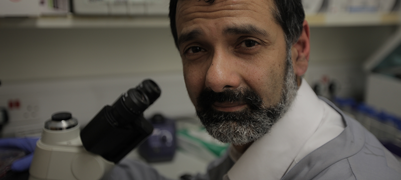 Photo of Professor Persis Amrolia in lab next to microscope