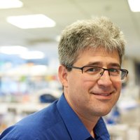 Prof Paul Gissen