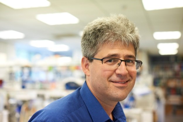 Prof Paul Gissen