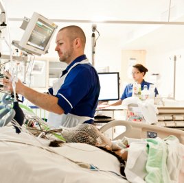A male nurse in blue scrubs stood next to a patient in bed looking at a monitor. There are lots of machines and monitors and another nurse in the background.