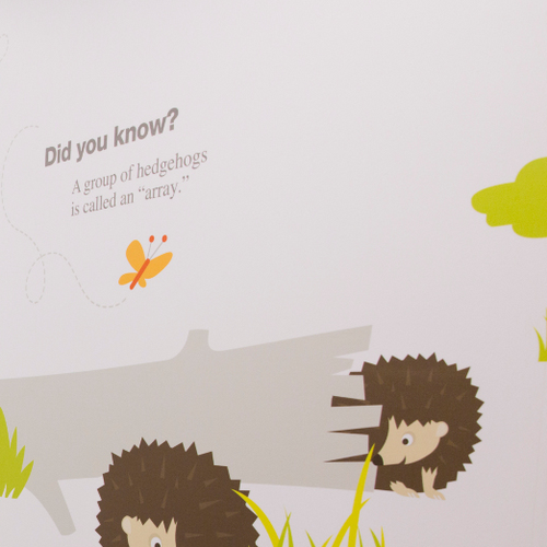 Image of Hedgehog Ward