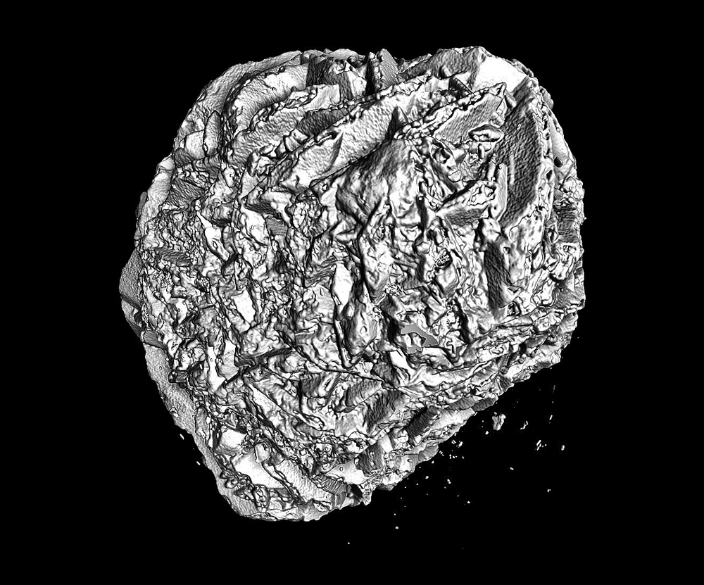 High‑contrast black‑and‑white 3D scan of a rough, irregularly textured stone against a black background