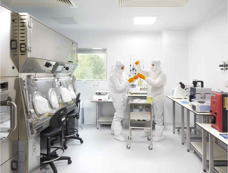 Staff working at cell and Gene therapy clean room at the ZCR