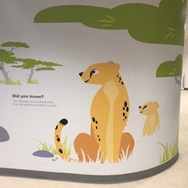 Cheetah outpatients
