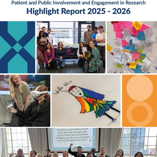 Collage of PPIE pictures for PPIE impact report