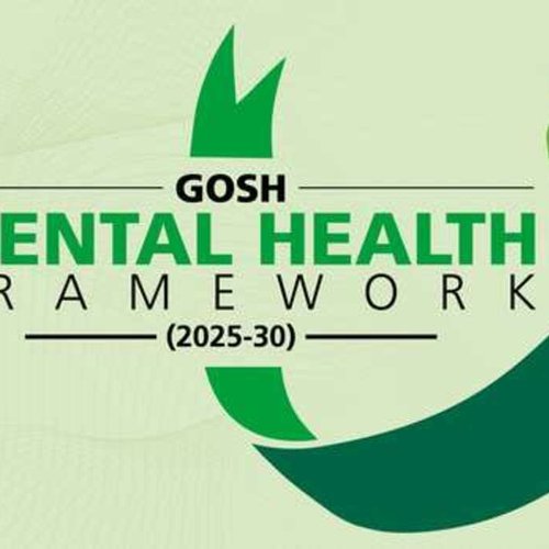 The words "GOSH Mental Health Framework 2025 to 2030" with a green ribbon