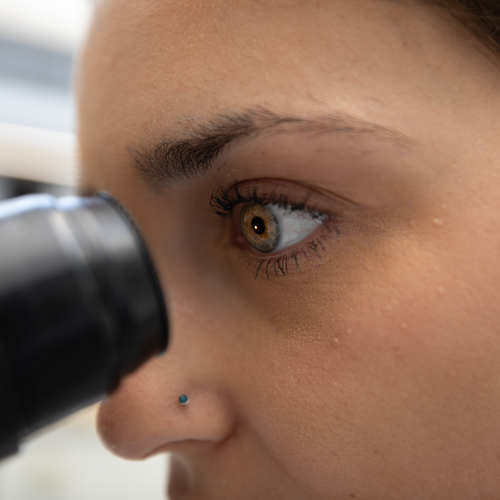 Eye looking into microscope