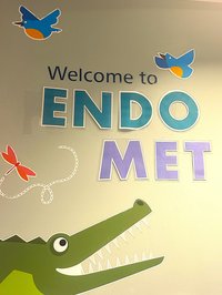 A hospital wall with the words "Welcome to Endo Met" with a alligator and birds