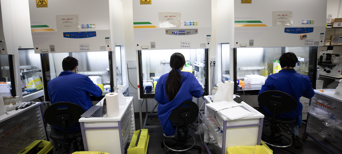 A group of researchers are working in the lab