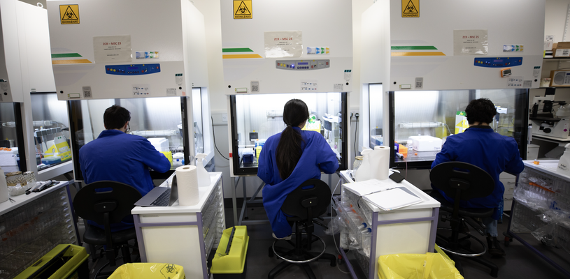 A group of researchers are working in the lab