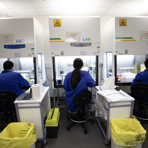 A group of researchers are working in the lab