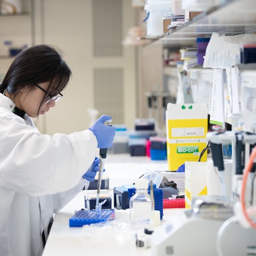 Researcher wears white lab coat and uses pipette in lab.