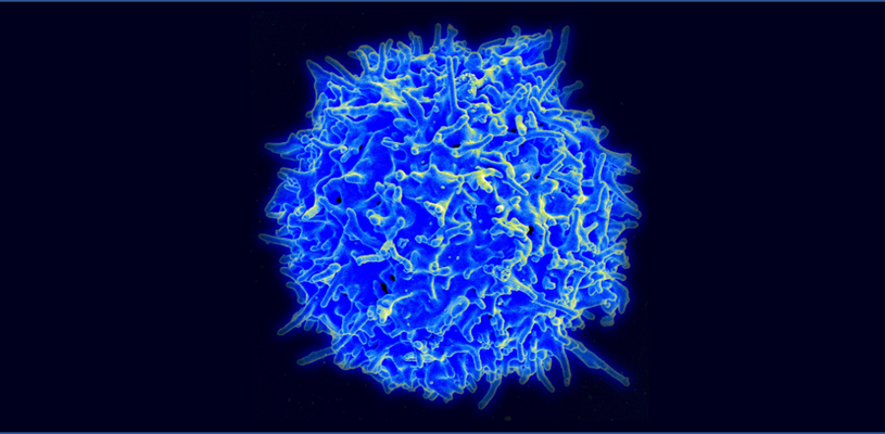 Healthy T Cell