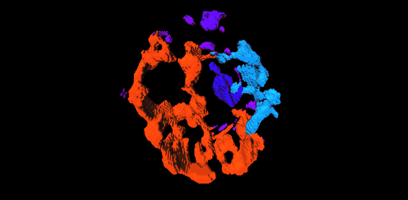 A red and blue irregular shape against a black background