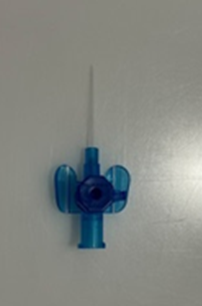 Image of a cannula- a thin needle with a blue plastic base