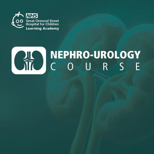 Nephro-Urology course