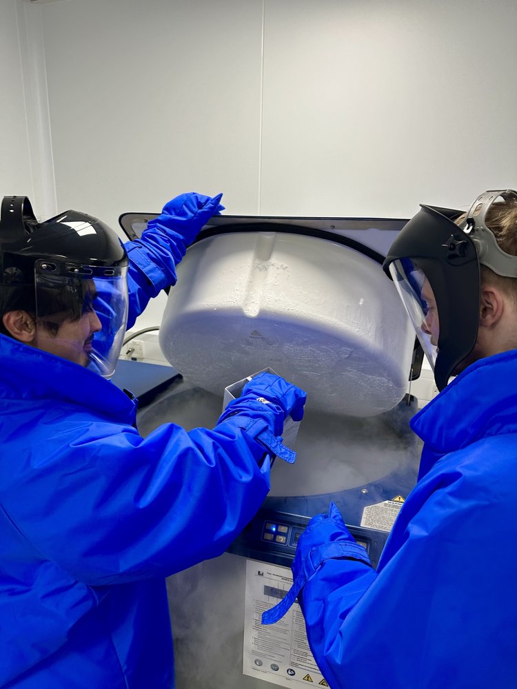 Two staff members wearing blue protective gown, plastic face mask and gloves opening silver nitrogen tank