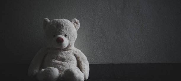 Photo of a bear