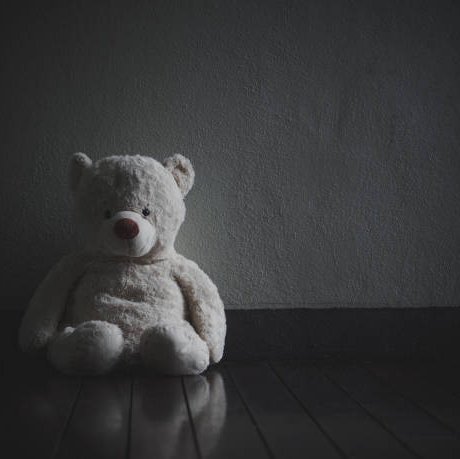 Photo of a bear