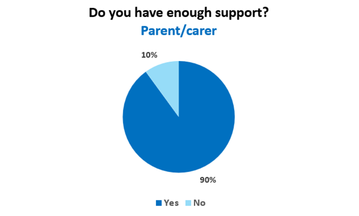Pie chart showing the dietetic support for parents/carers