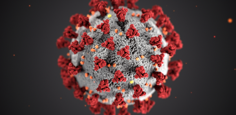 SARS-CoV-2 Virus Illustrated