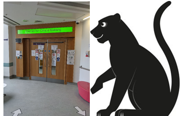 Split image: on the left, double doors with a green sign above reading 'Premier Inn Clinical Building', surrounded by various signs and notices; on the right, an illustration of a black panther sitting upright with its tail curved upwards.