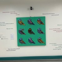 Colourful artwork of nine patterned birds on a turquoise background, with descriptive text on the surrounding wall.