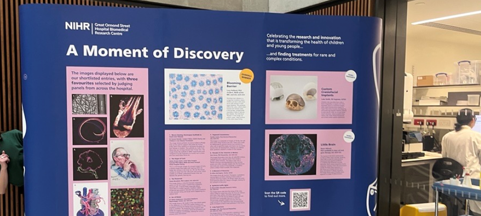 Navy large banner with 'moment of discovery' and various images