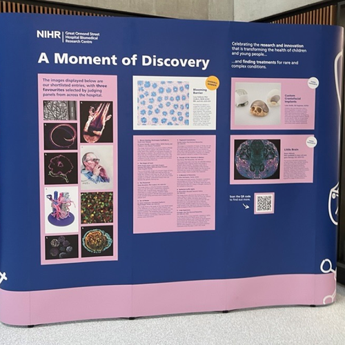 Navy large banner with 'moment of discovery' and various images