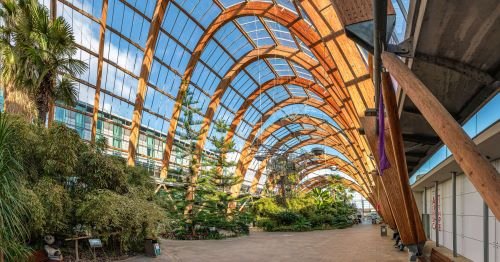 Sheffield Winter Garden hosting the conference welcome reception