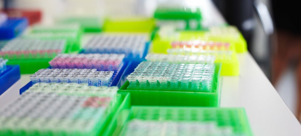 Lab samples in pipette racks