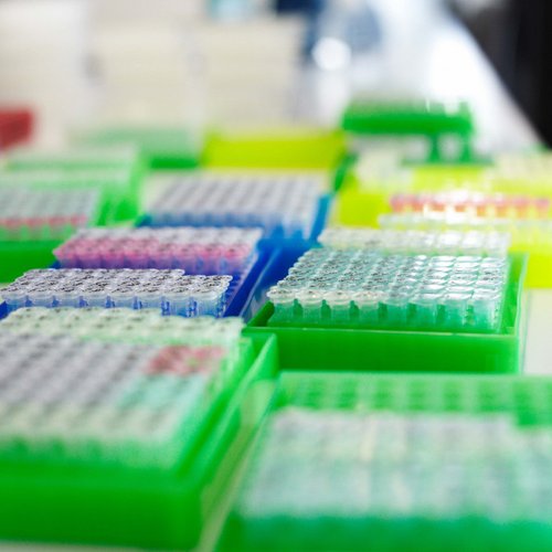 Lab samples in pipette racks