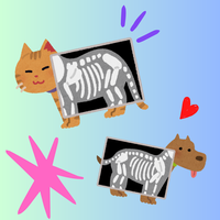 Decorative image of cats and dogs having X-rays