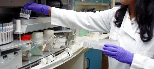 Woman in white lab coat placing samples in a sample rack in the laboratory
