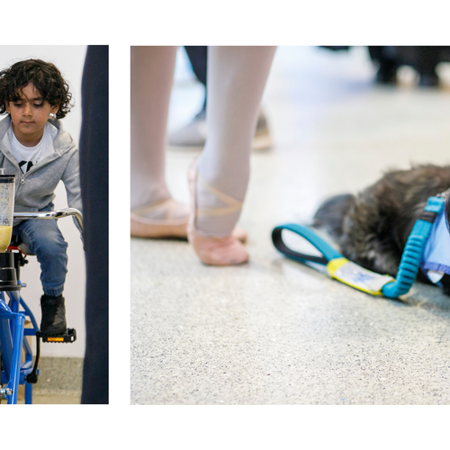 A small grey dog smiling with a blue outfit sat by a ballerina's feet on the left and a brown-haired child with a grey hoodie pedalling on a smoothie bike on the right