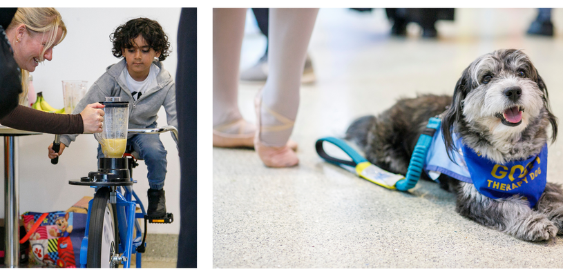 A small grey dog smiling with a blue outfit sat by a ballerina's feet on the left and a brown-haired child with a grey hoodie pedalling on a smoothie bike on the right