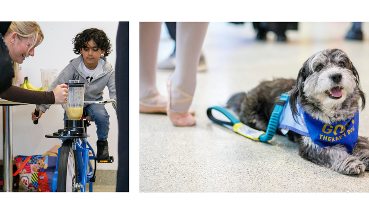 A small grey dog smiling with a blue outfit sat by a ballerina's feet on the left and a brown-haired child with a grey hoodie pedalling on a smoothie bike on the right