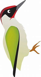 Stylised illustration of a woodpecker with a red cap, black eye markings, and a long pointed beak. The bird has a white body, green wings with black accents, and orange legs, shown in profile facing left.